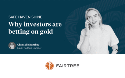 Why investors are betting on gold
